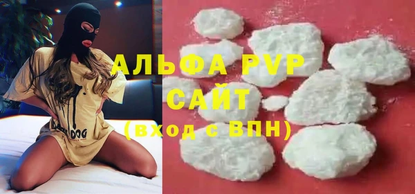 прущий лед Бородино