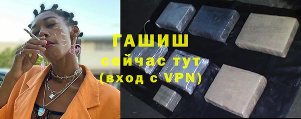 прущий лед Бородино