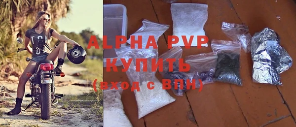прущий лед Бородино