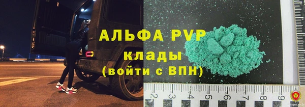 прущий лед Бородино
