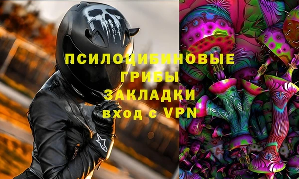 прущий лед Бородино