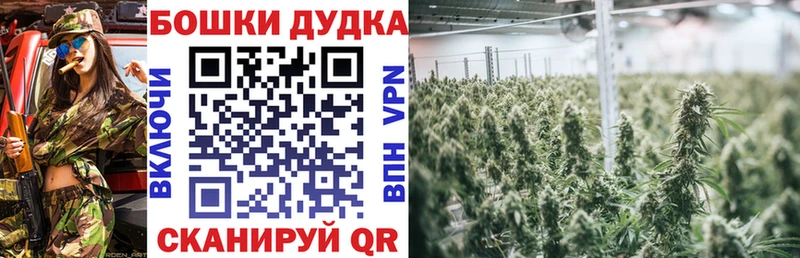 Бошки марихуана AK-47 Весьегонск